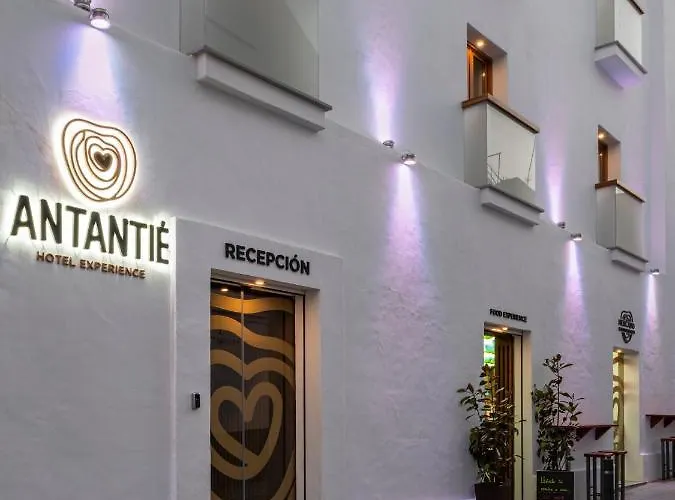 Hotel Antantie